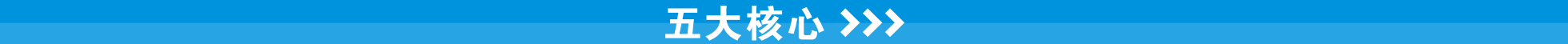 五大核心