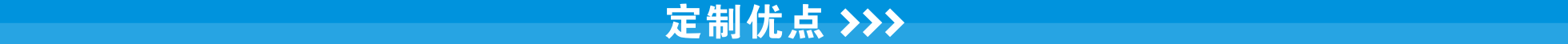 /定制优点