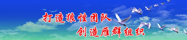 战斗力CRM告诉你带团队就是带野心 战斗力CRM告诉你带团队就是带野心